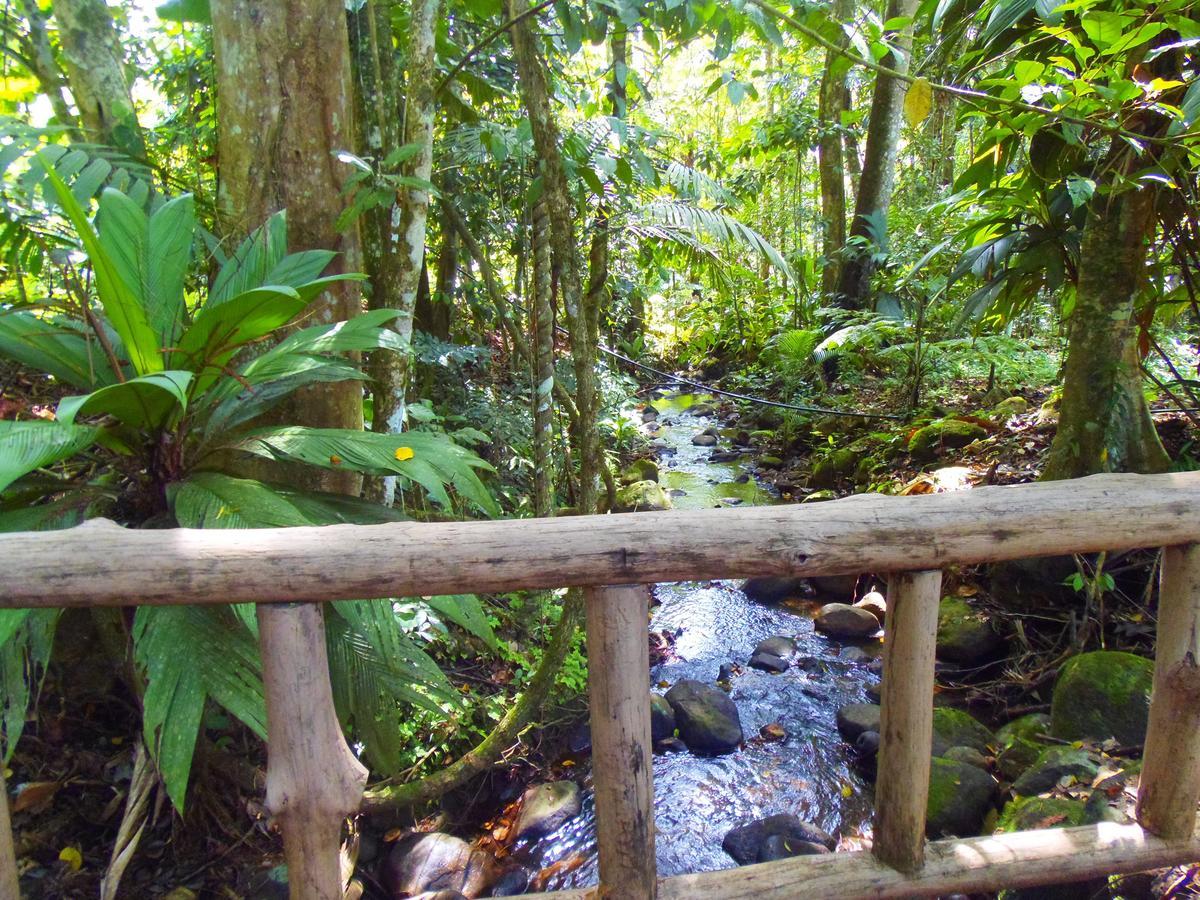 Hotel Valle Azul San Gerardo 객실 사진