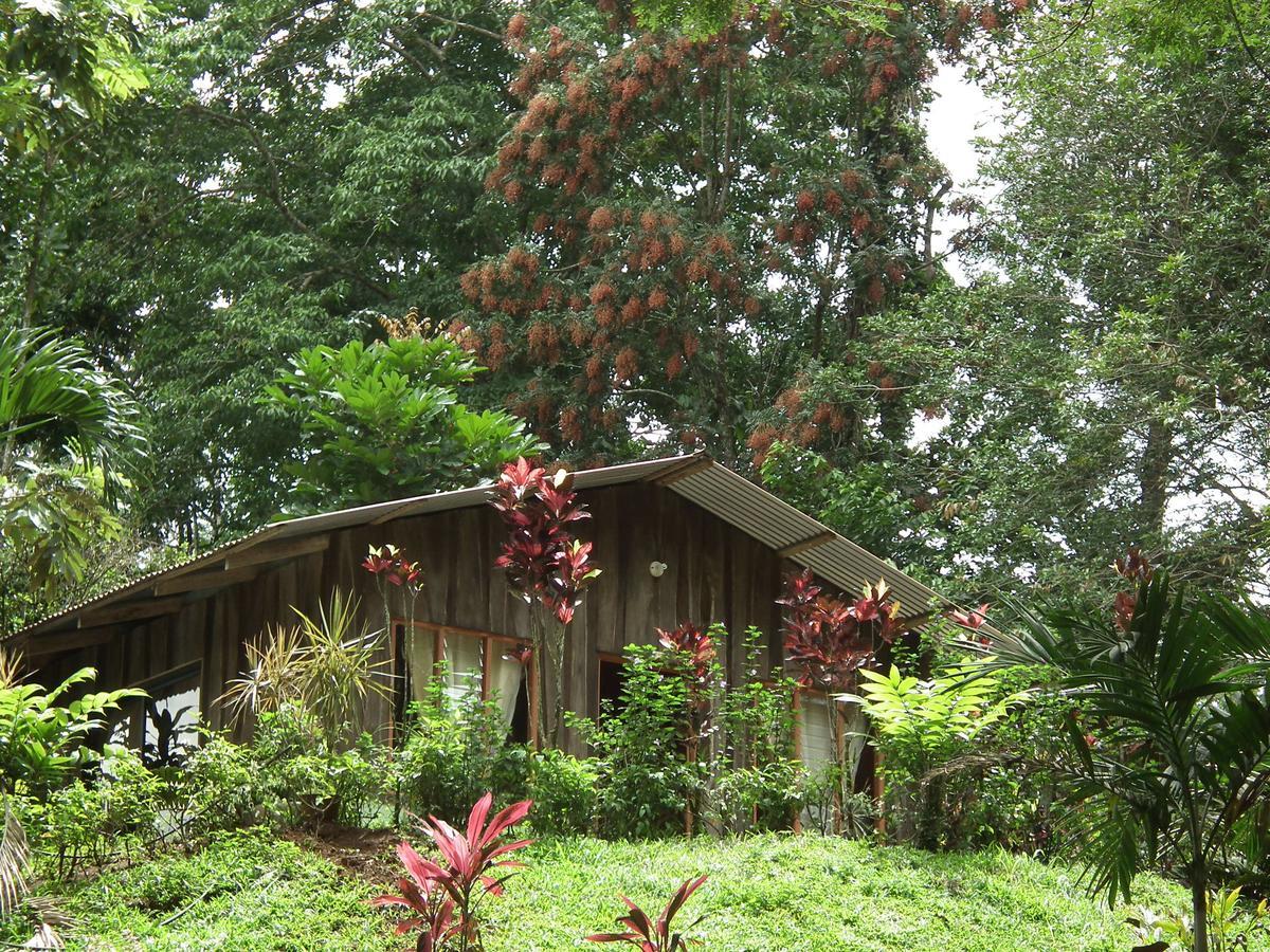 Hotel Valle Azul San Gerardo 객실 사진