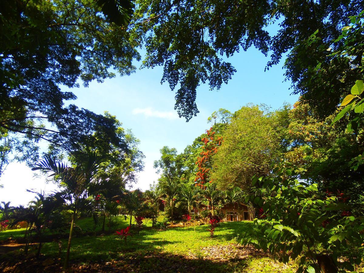 Hotel Valle Azul San Gerardo 객실 사진