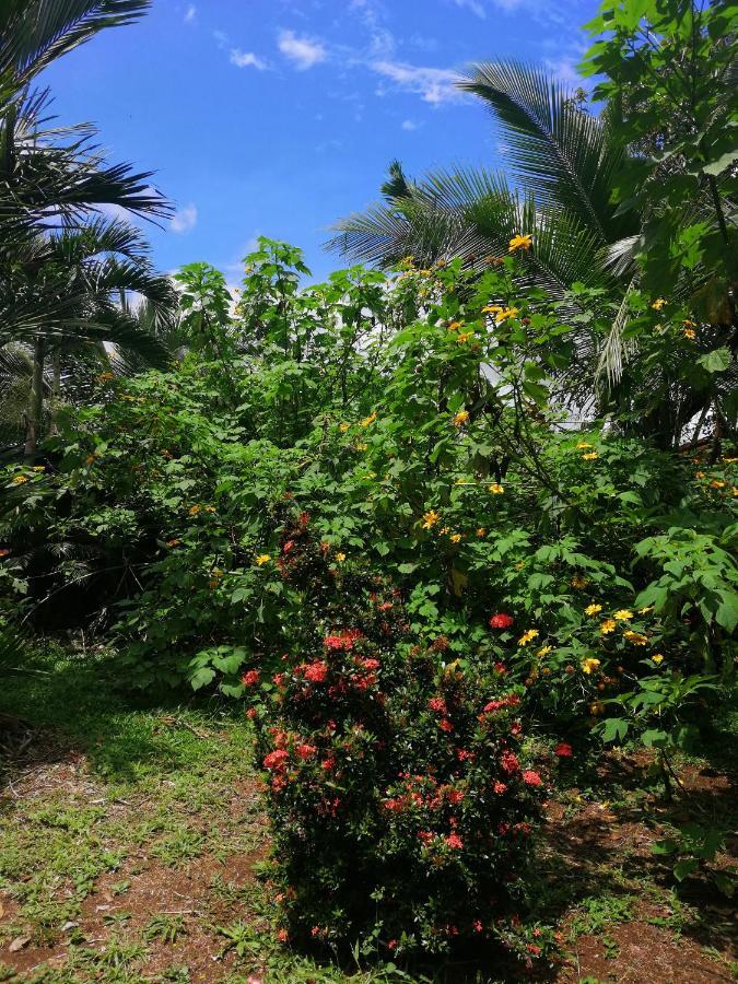 Hotel Valle Azul San Gerardo 외부 사진