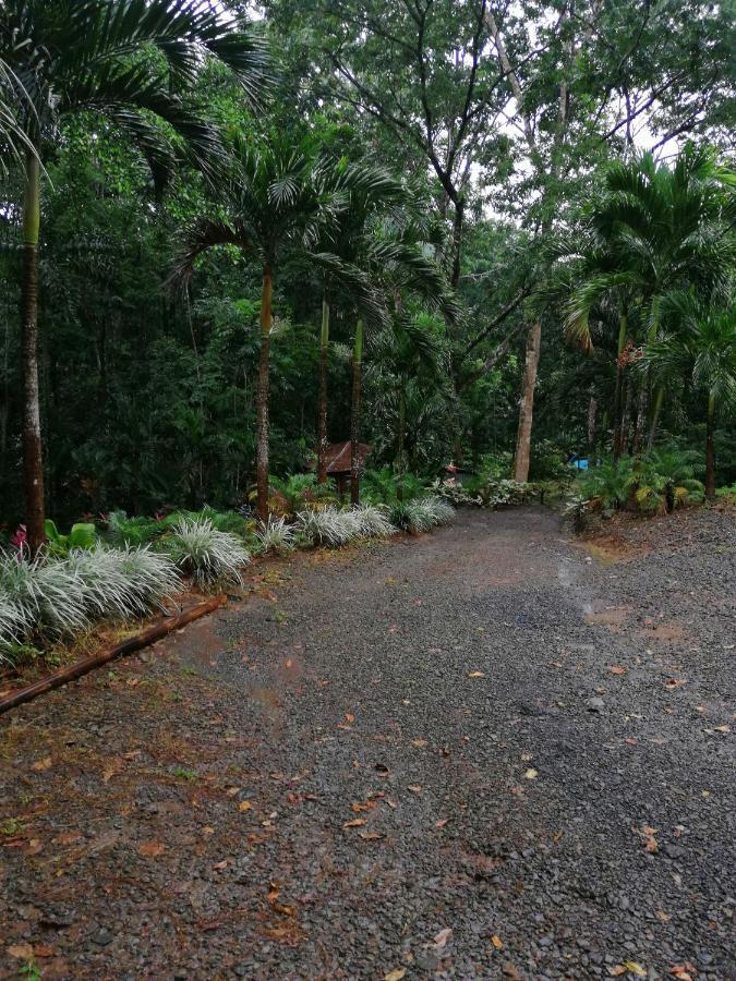Hotel Valle Azul San Gerardo 외부 사진